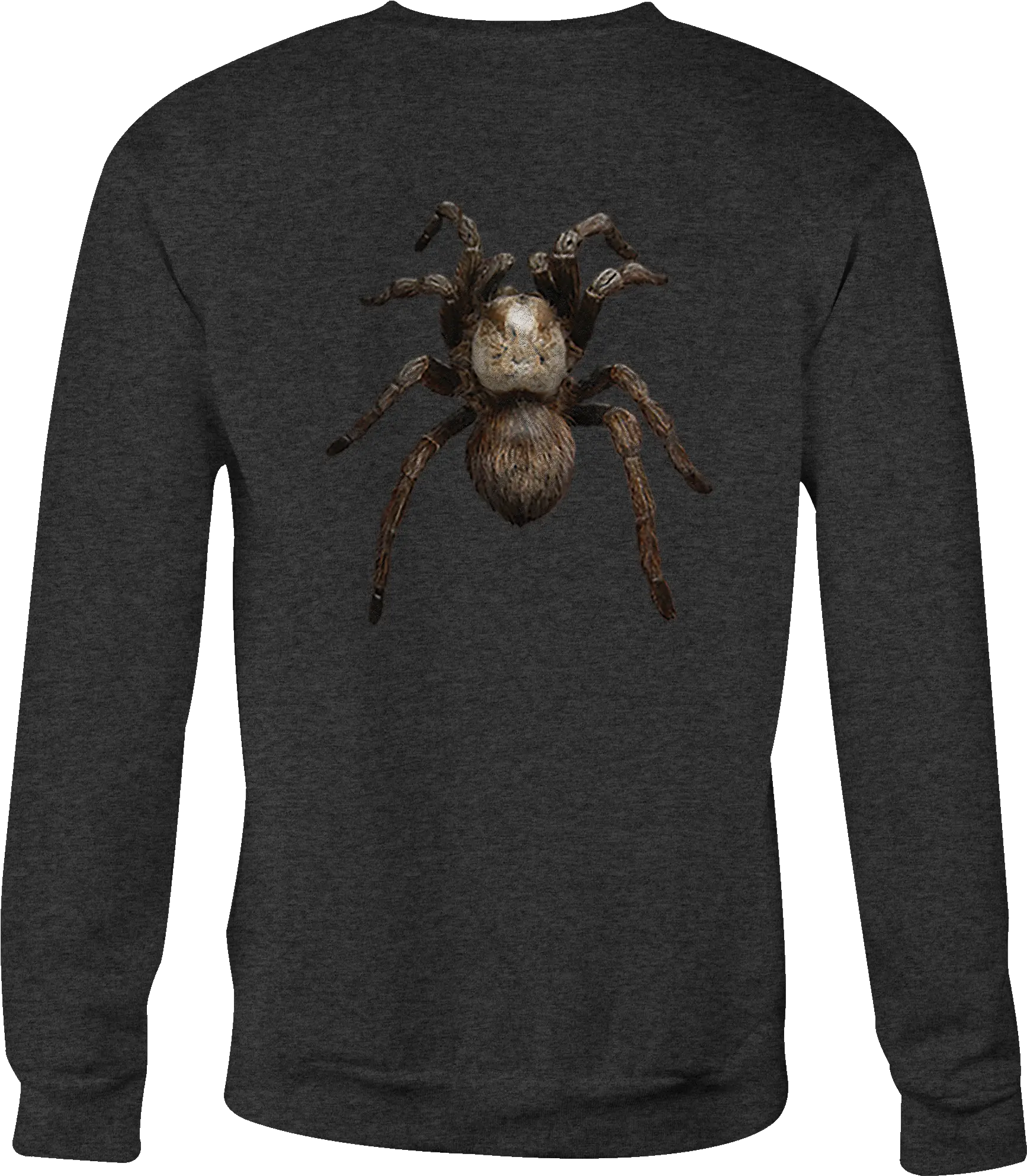 Details About Crewneck Sweatshirt Spider Tarantula Shirt For Men Or Women Insect Png Tarantula Png