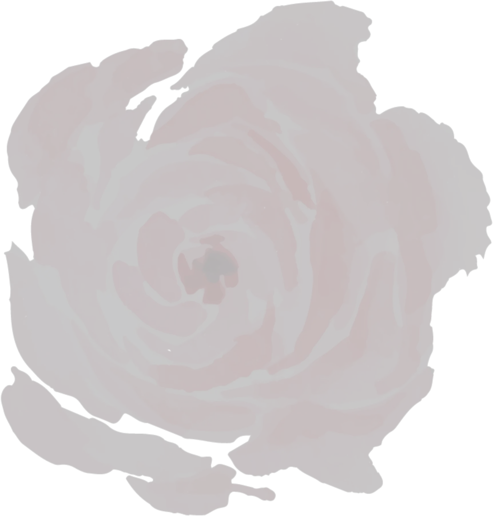 Ftestickers Background Overlay Sticker Girly Png Peony Transparent