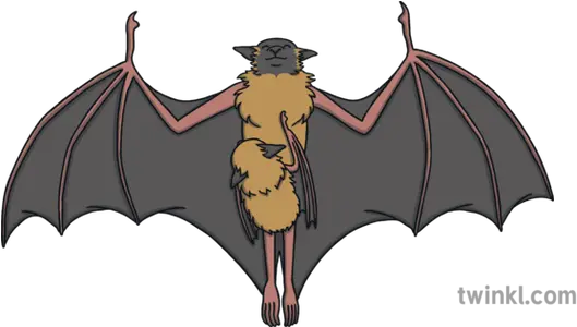 What Is A Bat Answered Twinkl Teaching Wiki Fictional Character Png Simple Bat Icon