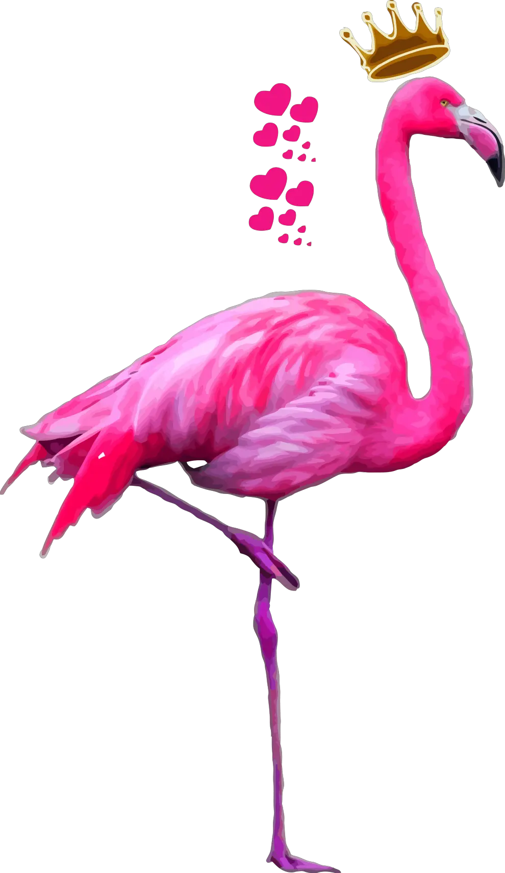 Imagens Png Tumblr Flamingo Png Flamingo Transparent Background