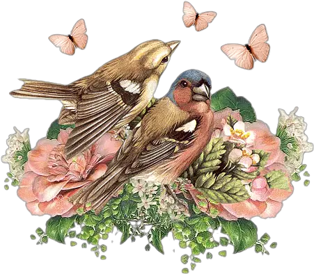 Png Flower Bird Vintage Imagenes De Pajaros Para Decoupage Vintage Paper Png