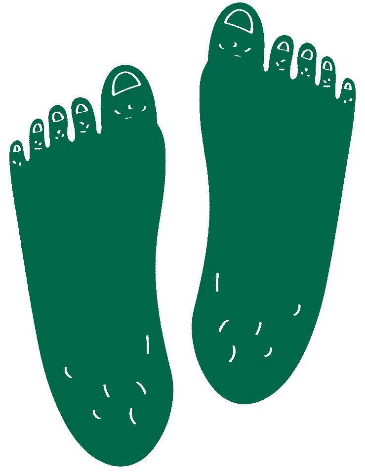 Foot Facts Wiivv Illustration Png Feet Transparent