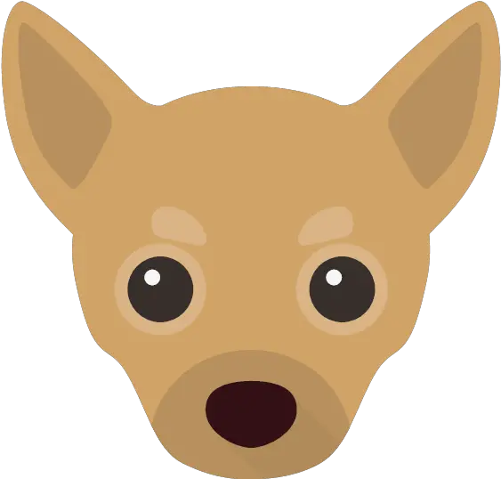 Download Yappicon Chihuahua 05 Yappicon Chihuahua Full Toy Dog Png Chihuahua Png