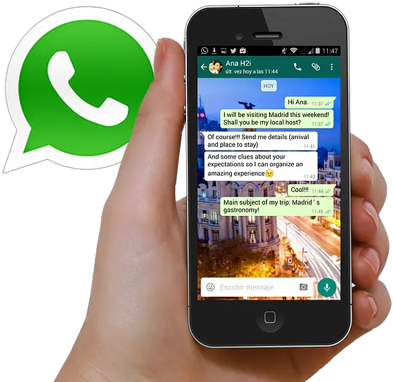 Download Hand Mobile Whatsapp Photo Whatsapp Icon Png Sharing Whatsapp Icon Transparent