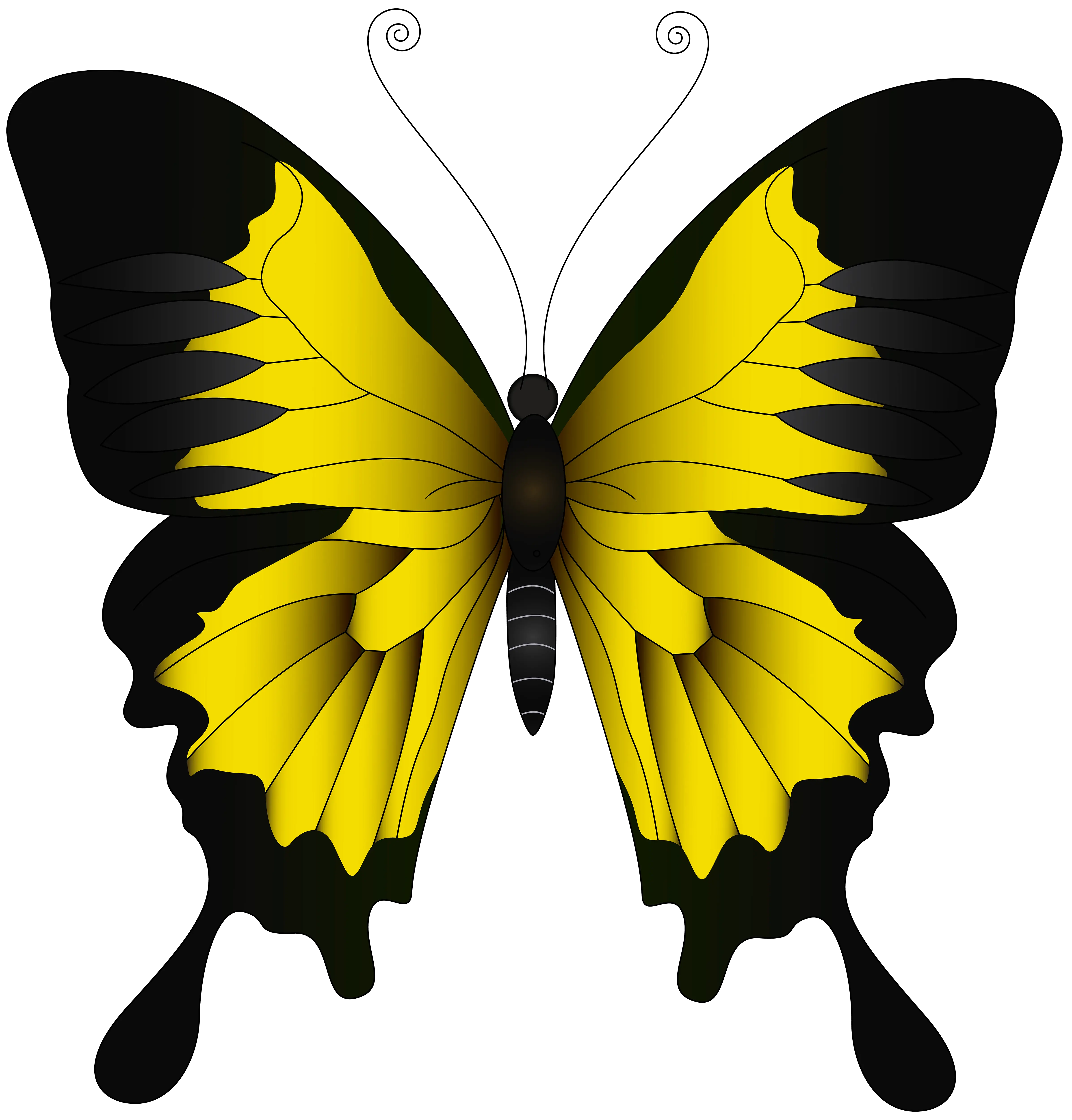 Butterfly Clipart Yellow Yellow Butterfly Png Butterfly Transparent png