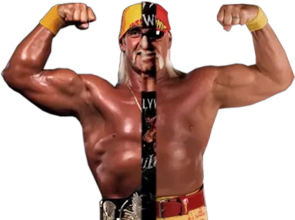 Download Hd Hulk Hogan Face Png Vector Nwo Hogan Png Hulk Hogan Png
