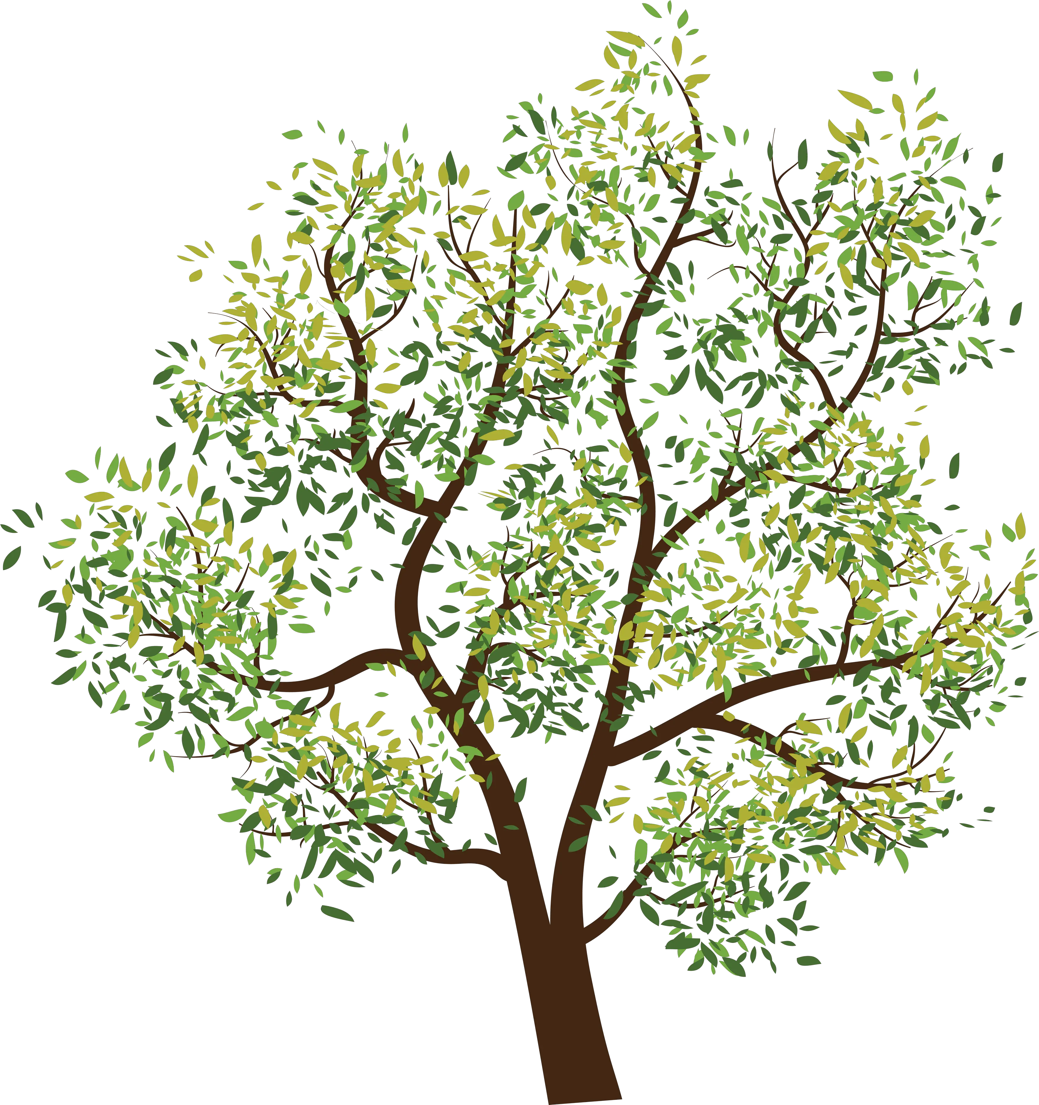 Download Tree Png Image For Free Tree Clipart Transparent Background Trees Background Png
