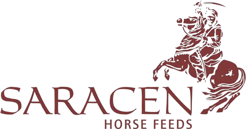 Saracen Horsefeedslogo Coulonces Sales Saracen Horse Feed Logo Png Horse Logo Png