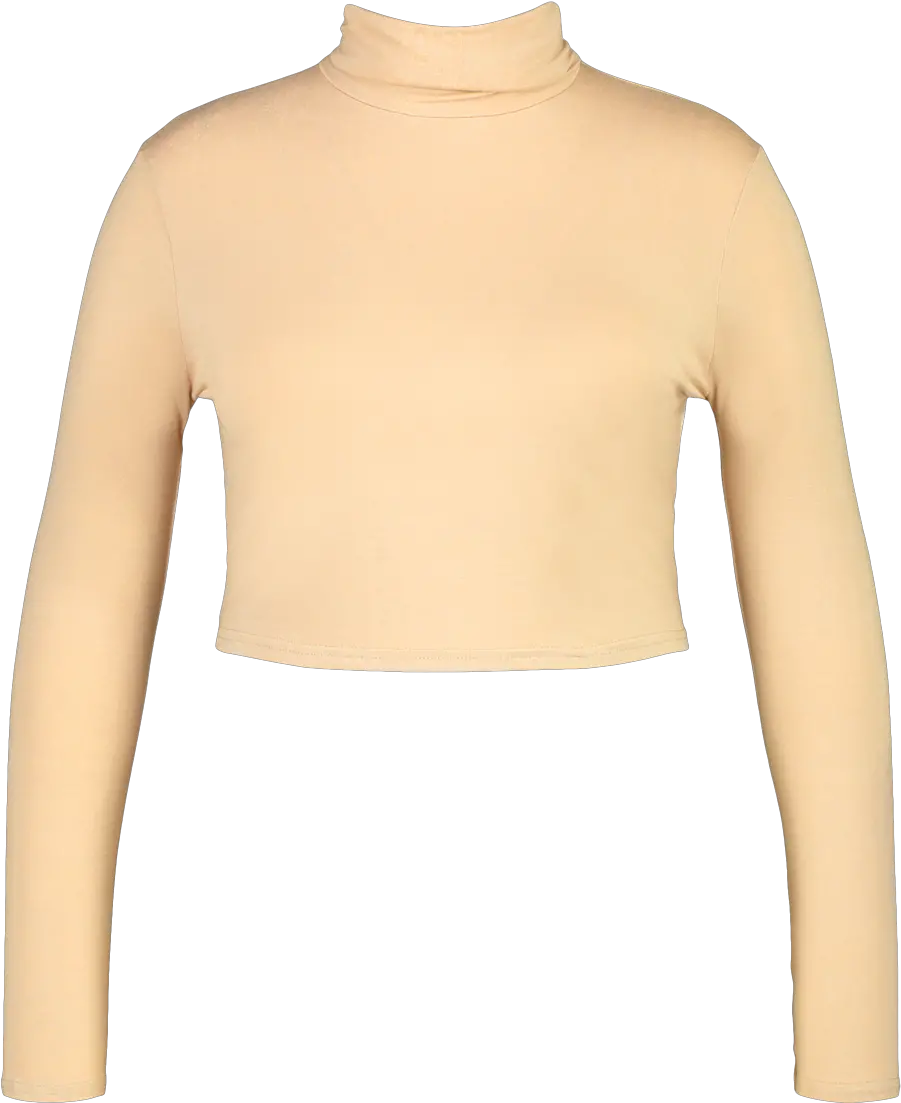 Plus Turtleneck Crop Top Long Sleeve Png Crop Icon Vector