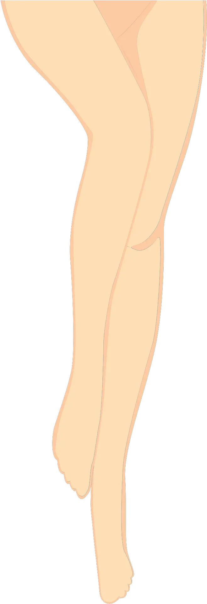 Legs Clipart Ankle Png Leg Png