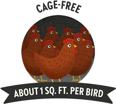 Bringing Ethically Produced Food To The Table Vital Farms Language Png Nest Egg Icon