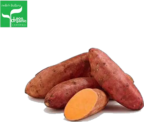 Organic Sweet Potato 05kg Sweet Potato Egypt Png Yam Png