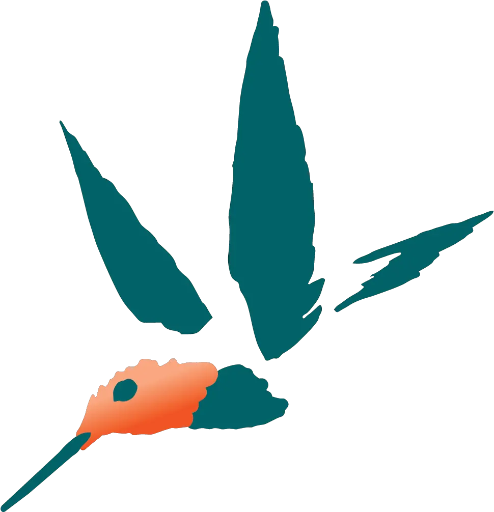 Shop Talk Hummingbird Png Pocahontas Gif Icon