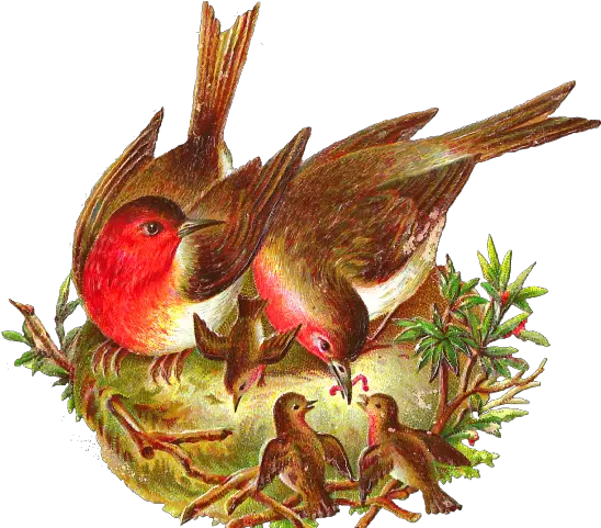 Birds Nest Clipart Victorian Bird Bird With Nest Png Bird Nest Png