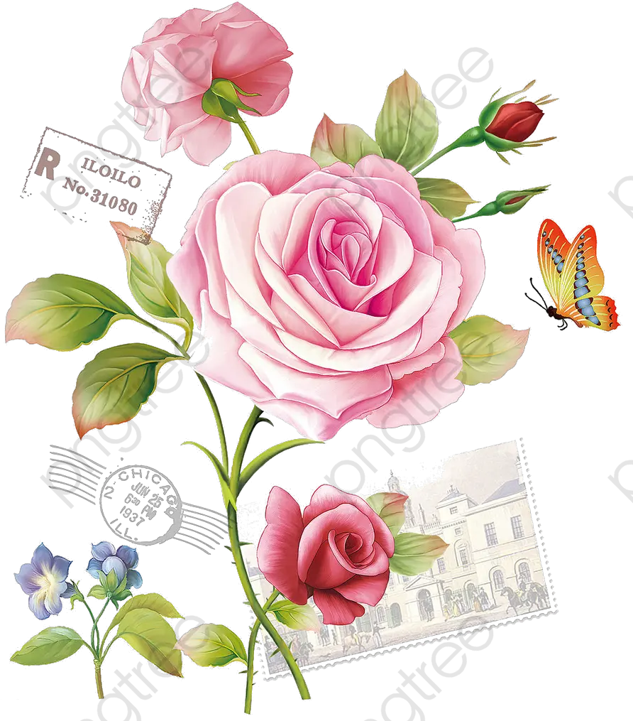 Transparent Painted Flowers Png Rosas