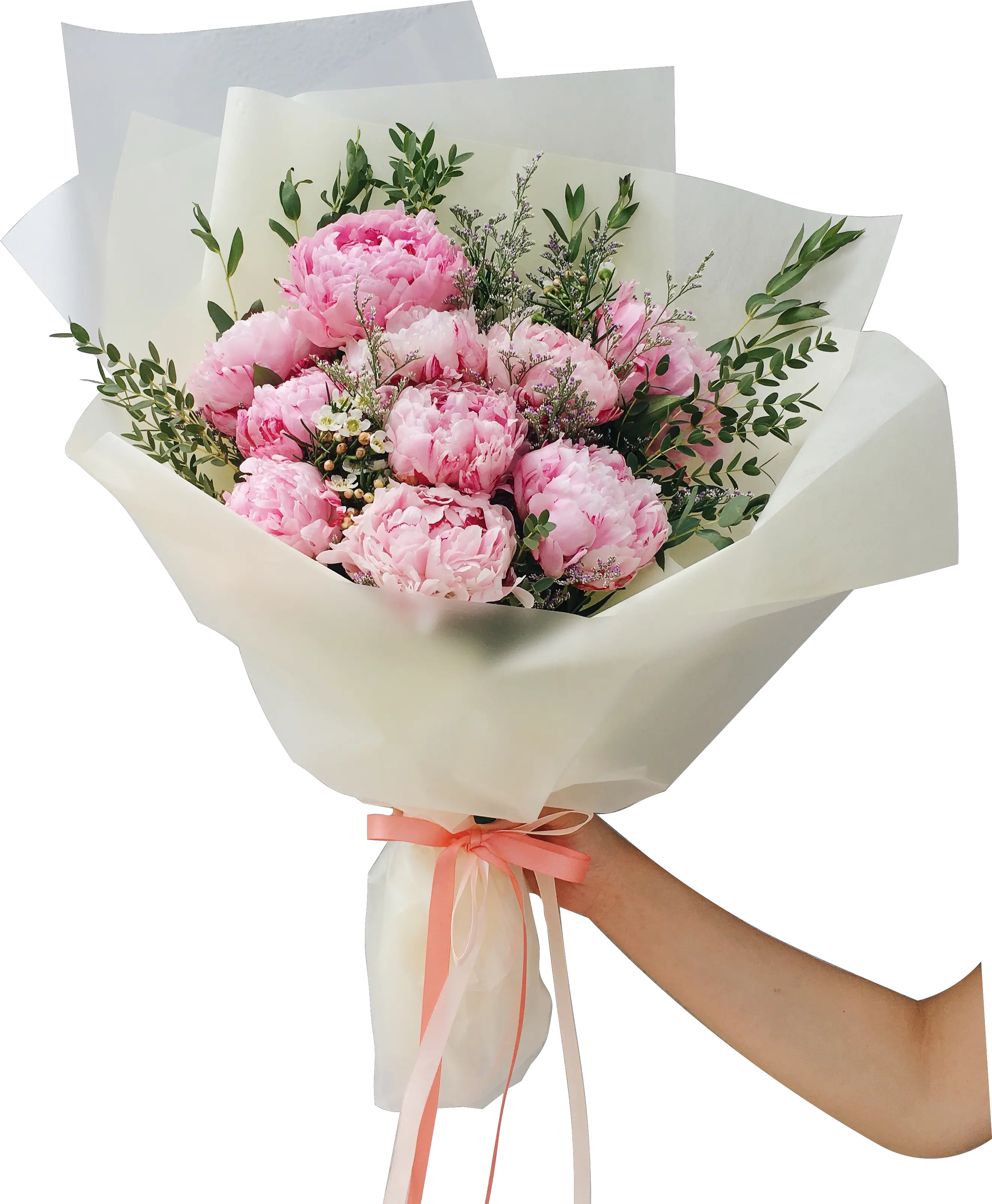 Peonies Png