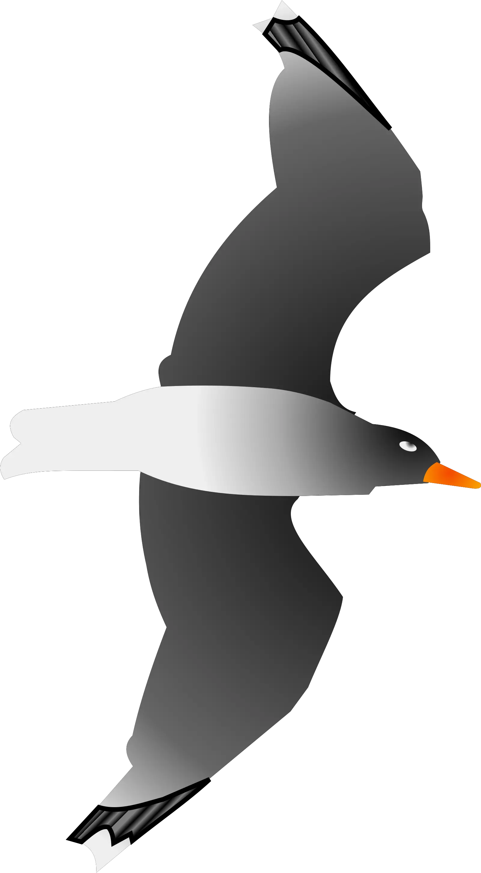 Seagull Png Svg Clip Art For Web Seabird Seagull Icon