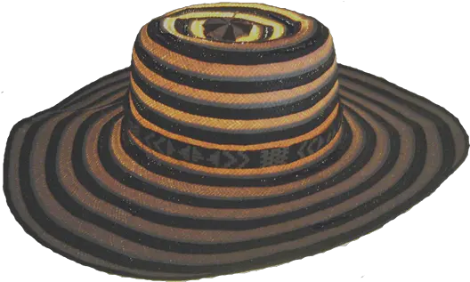 Sombrero Vueltiao 1 Sombrero Vueltiao Png Sombrero Hat Png