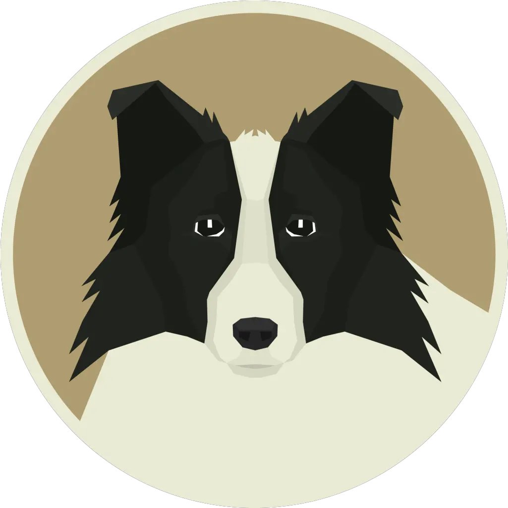 Border Collie Border Collie Png Border Collie Png png
