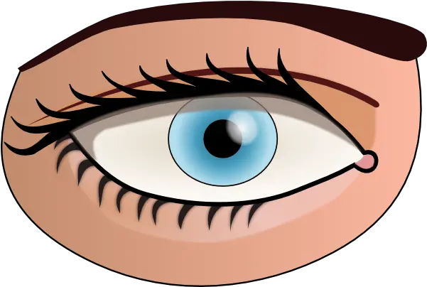 Eyes Clipart Png Picture Part Of Body Eye Eye Clipart Png