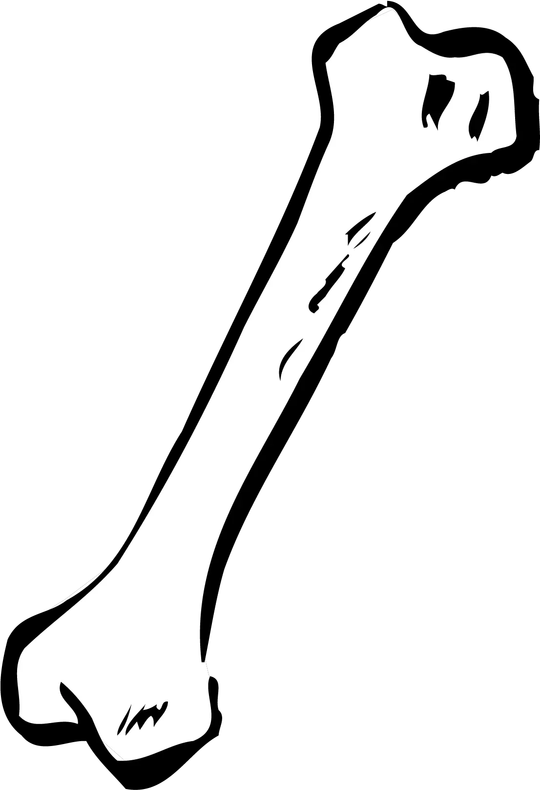 Bone Png Images Free Download Bone Clipart Black And White Bone Png