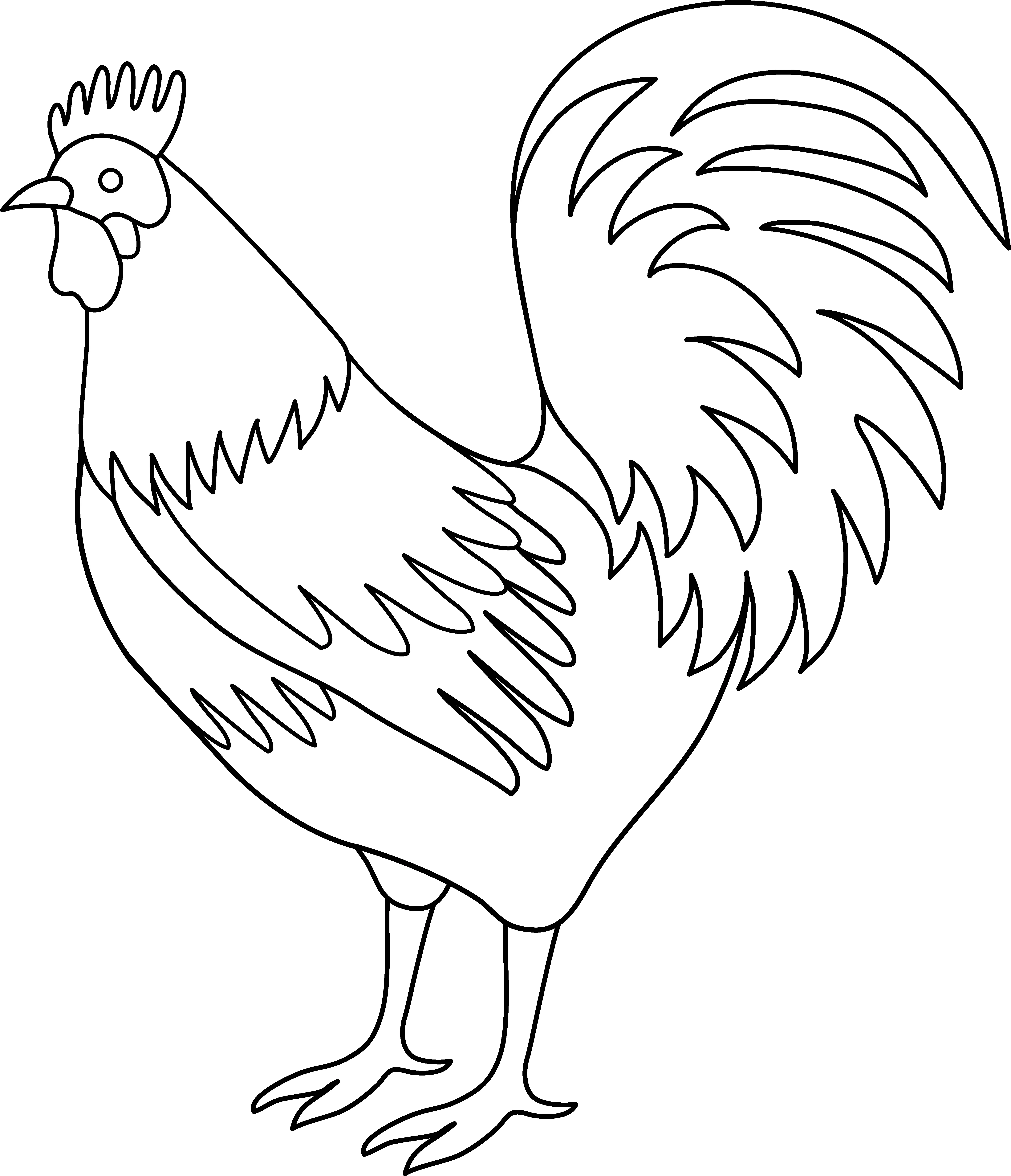 Rooster Coloring Page Image Png Clipart Rooster Black And White Clipart Rooster Png