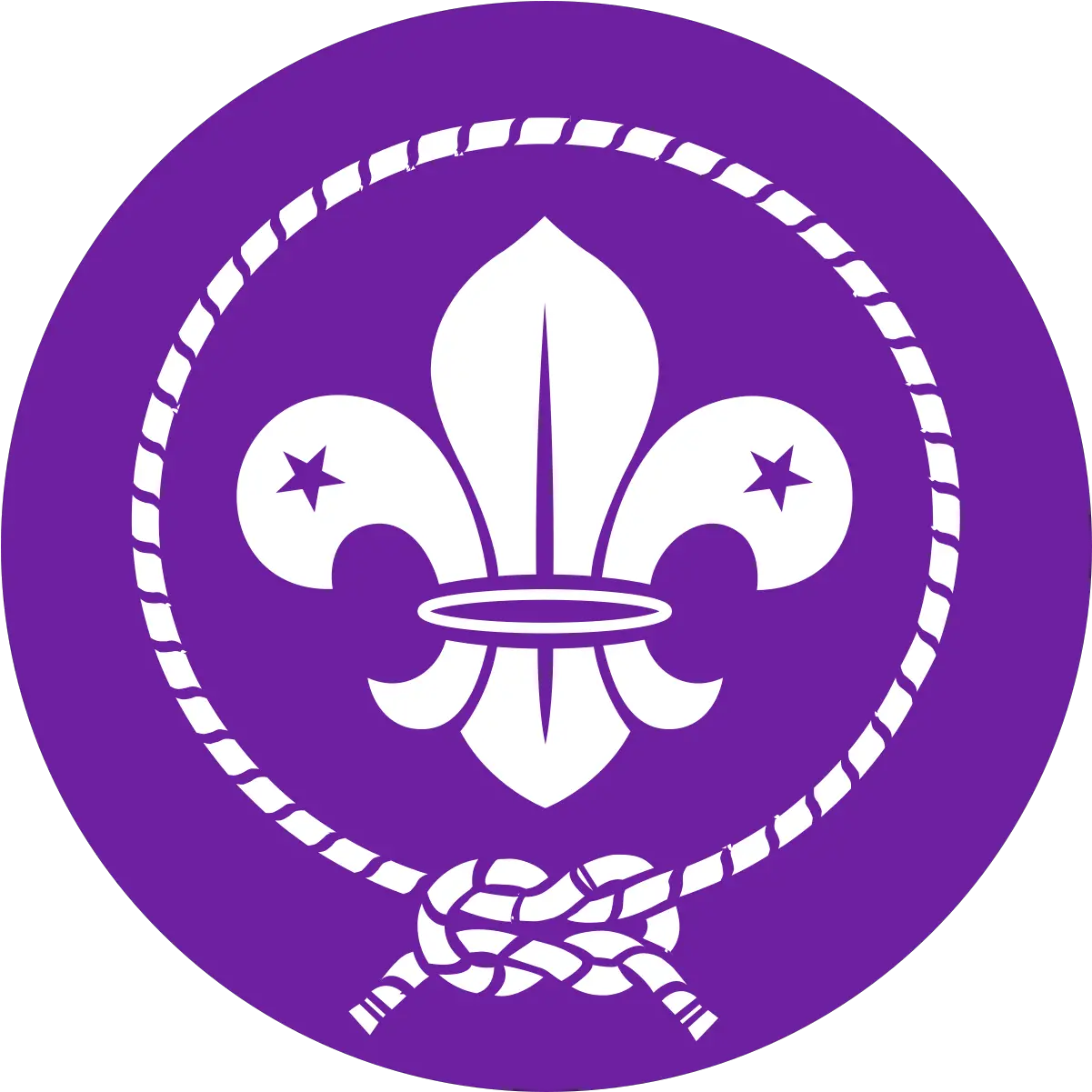 World Scout Emblem World Scout Badge Png Badge Logo png