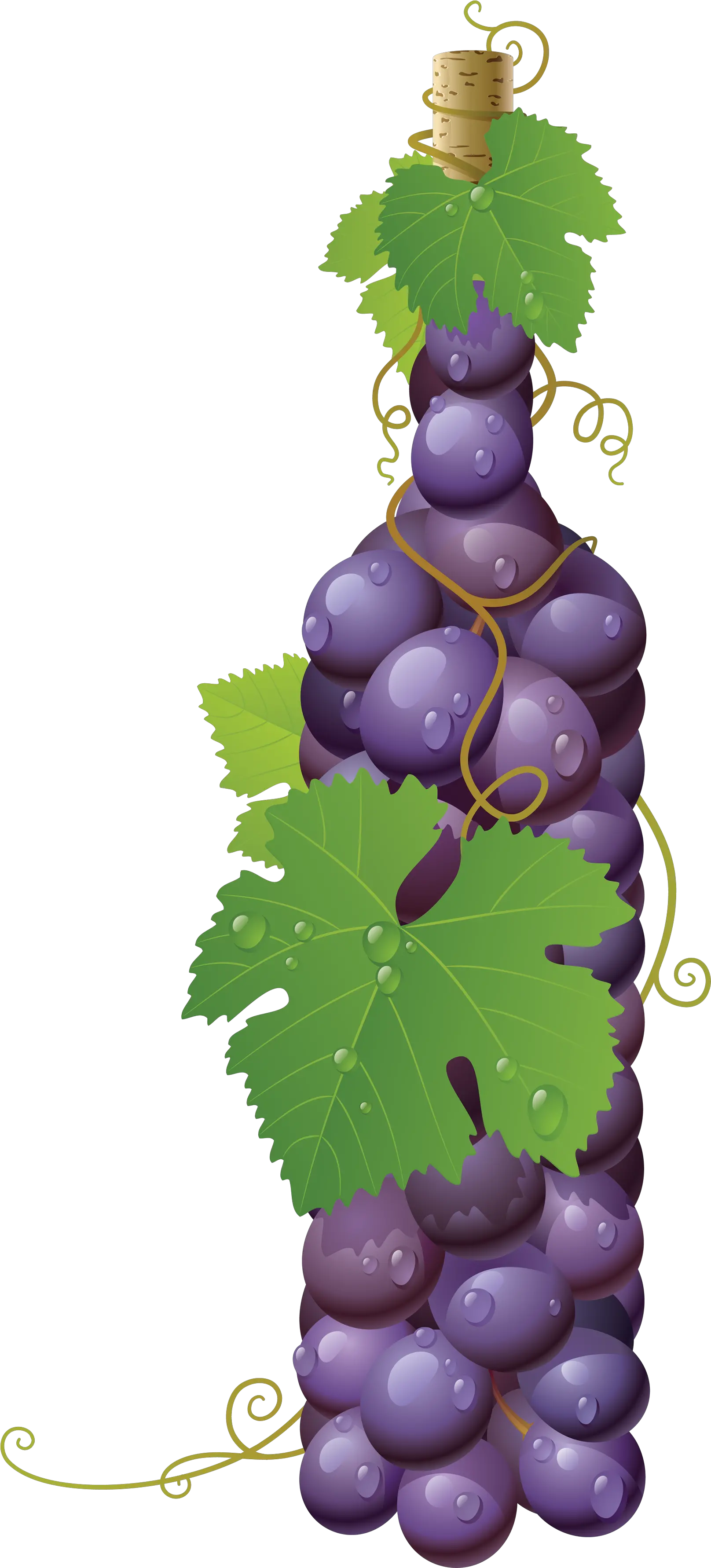 Grape Png Images Are Free To Download Grapes Vector Grape Png