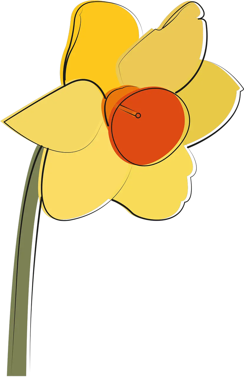 Daffodil Flower Yellow Frühling März Narzissen Clipart Png Daffodil Icon