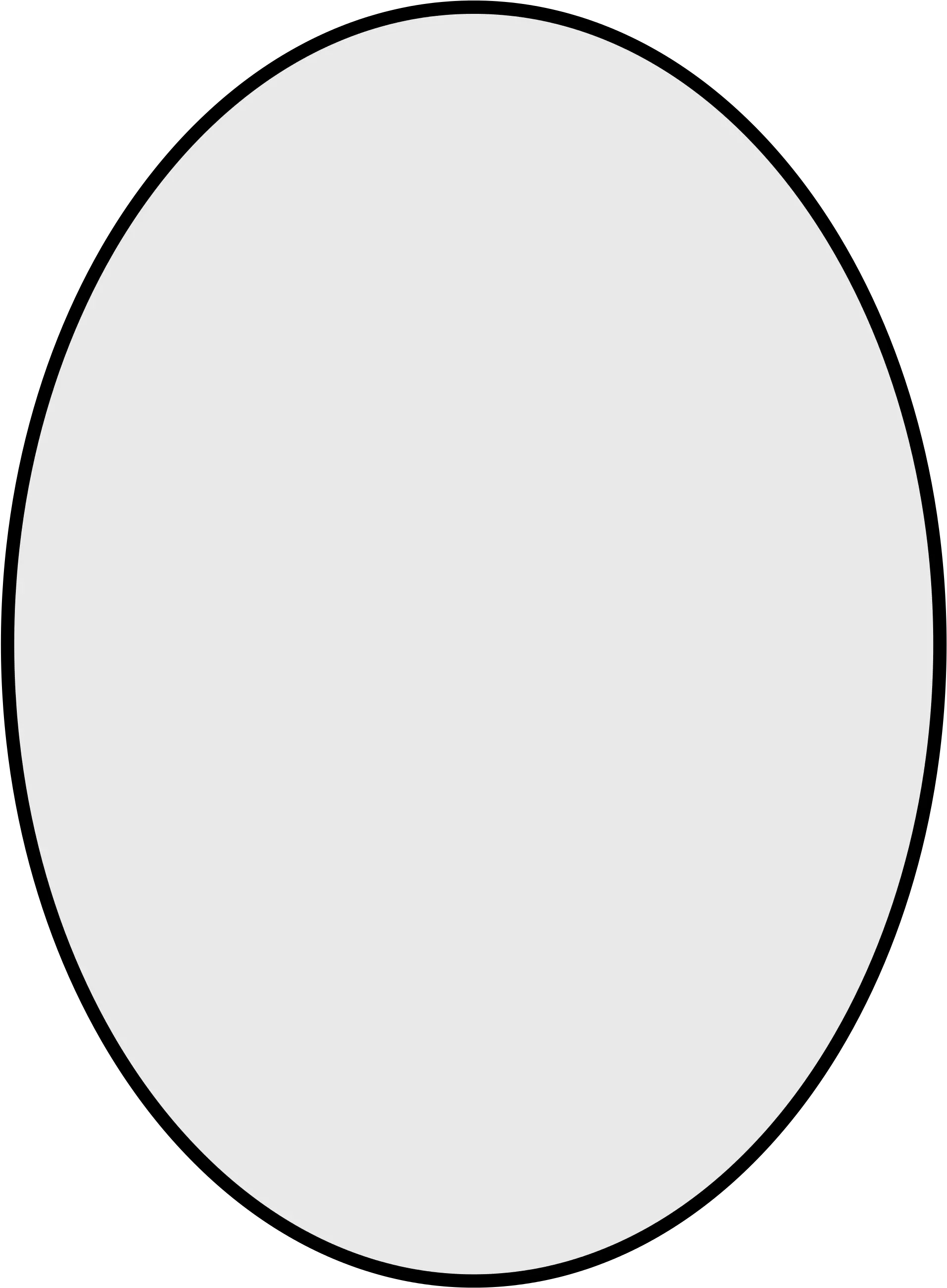 Oval Shape Png 8 Image White Oval Png Oval Png