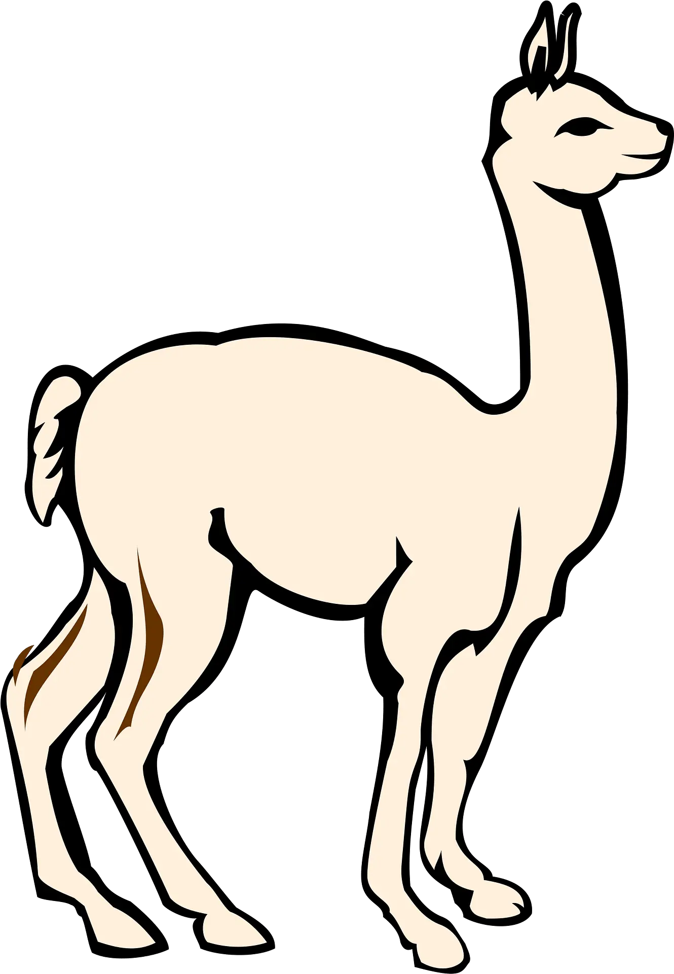 Alpaca Clipart Vicuña Gif Png Alpaca Png