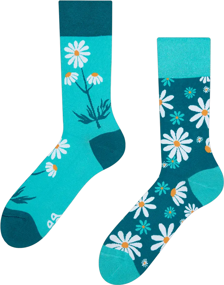 Good Mood Socks Chamomile Veselé Ponožky Png Chamomile Png