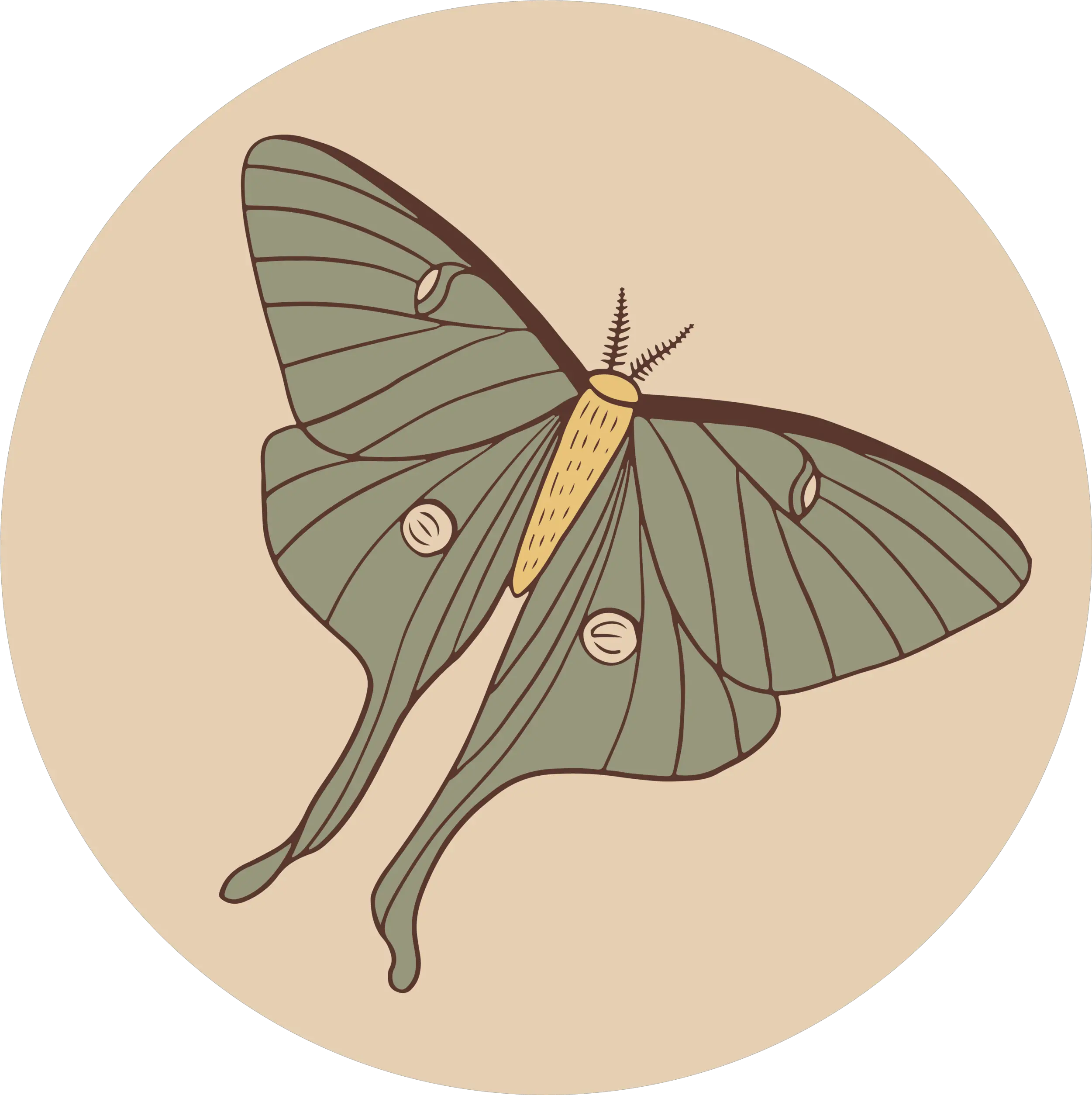 Rosebud Ranch Luna Moth Png Moth Icon