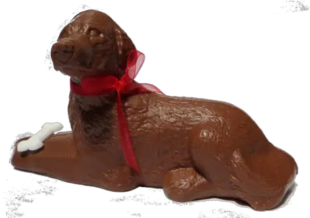 Chocolate Dog Golden Retriever Cocker Spaniel Easter Chocolate Png Golden Retriever Transparent