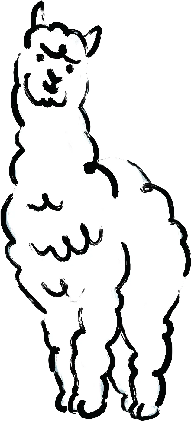 Alpaca U2013 Paka Apparel Llama Png Alpaca Png