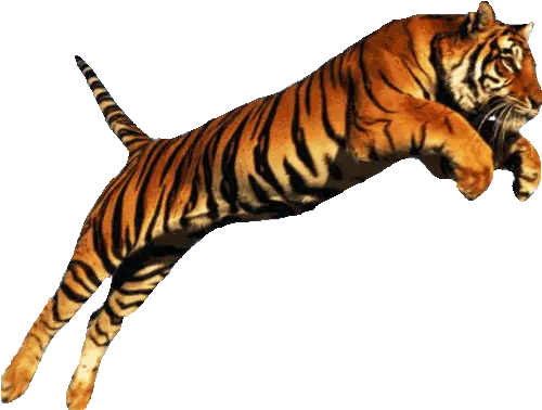 Running Tiger Png U0026 Free Tigerpng Transparent Tiger Jumping Tiger Transparent