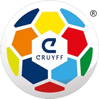 Getting Young People To Pay Watch Sport Instituto Cruyff Png Bt Sport Icon