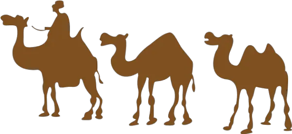 Free Online Camel Hump Animal Animals Vector For Camel Drawing Png Camel Png