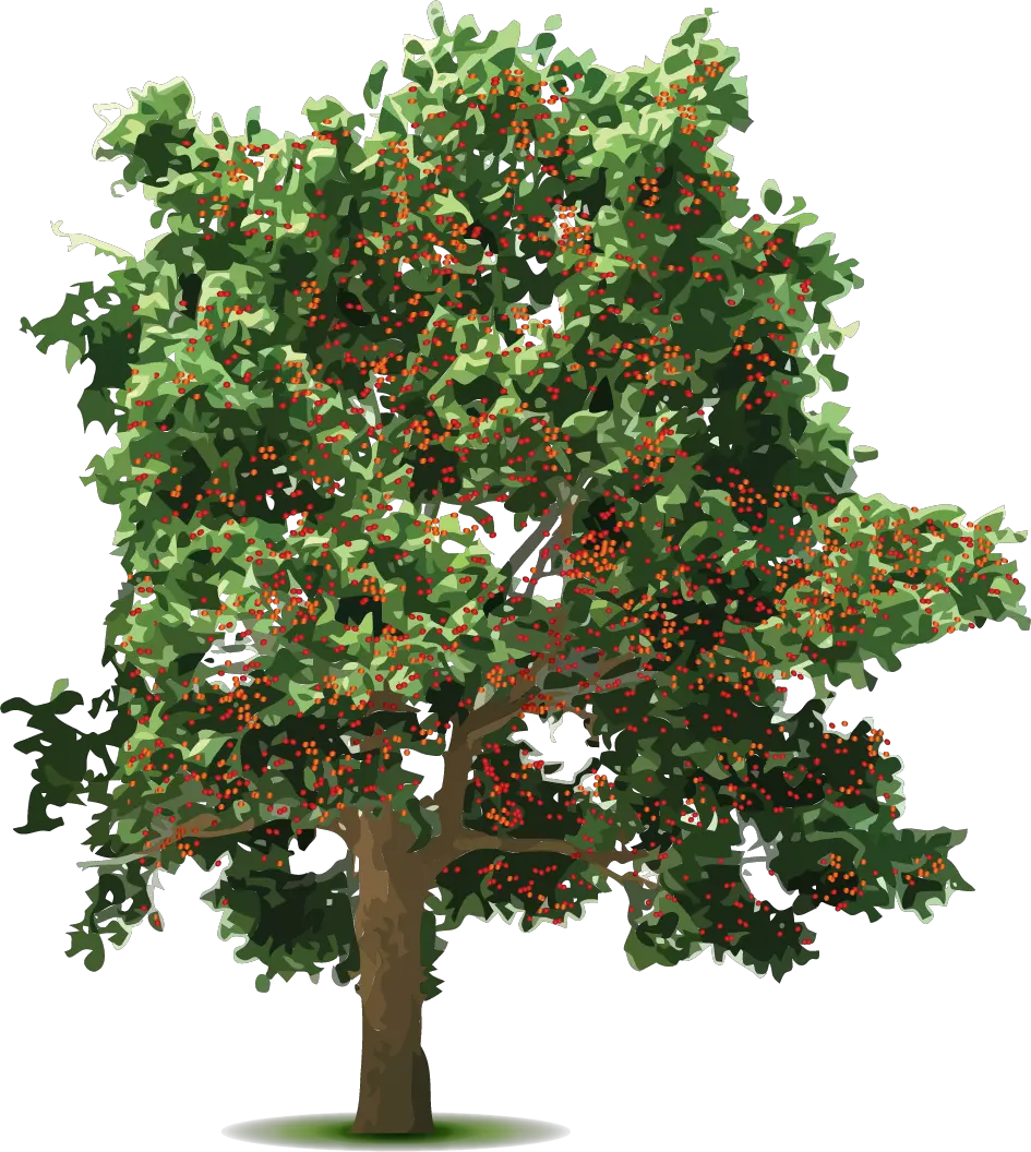 Flower Tree Png Images