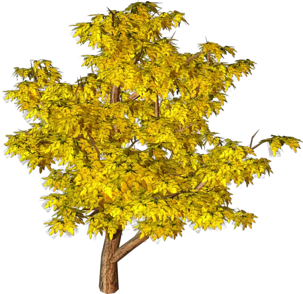 Tree With Roots Png