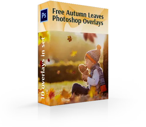 Leaves Overlay Photoshop Freefalling For Adobe Photoshop Png Fall Trees Png