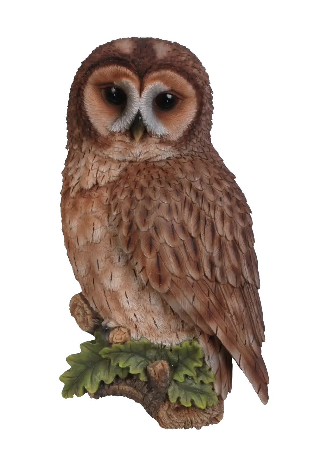 Vivid Arts Tawny Owl Plaque Owls Png Plaque Png