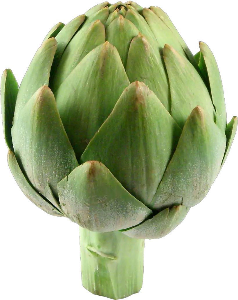 White Artichokes Mediterranean Vegetables Medilifefood Artichoke Png Vegetables Transparent Background