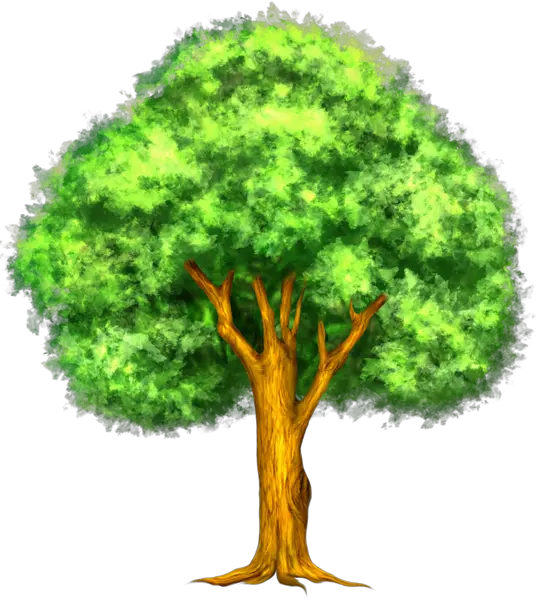 Png File Of Tree