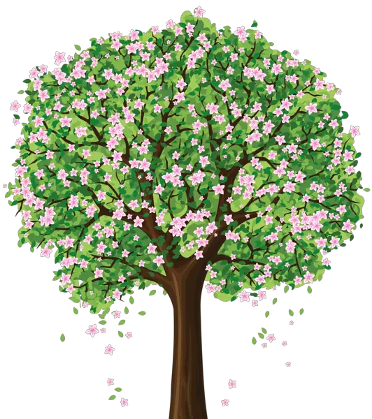 Plumeria Alba Tree Png