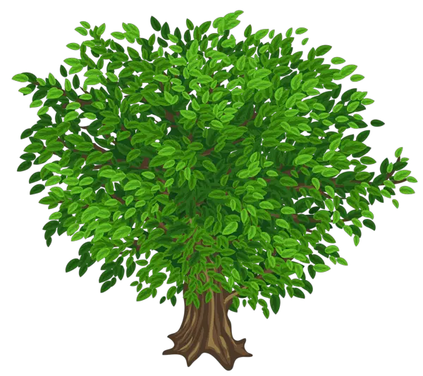 Tree Png Picsart