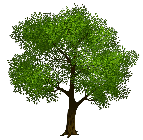 Tree Png File