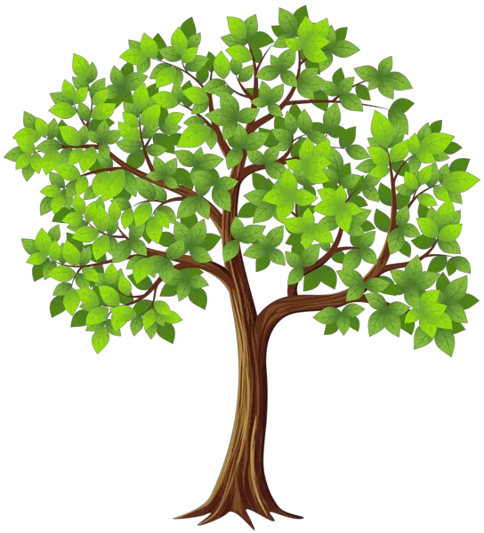 Rose Tree Png