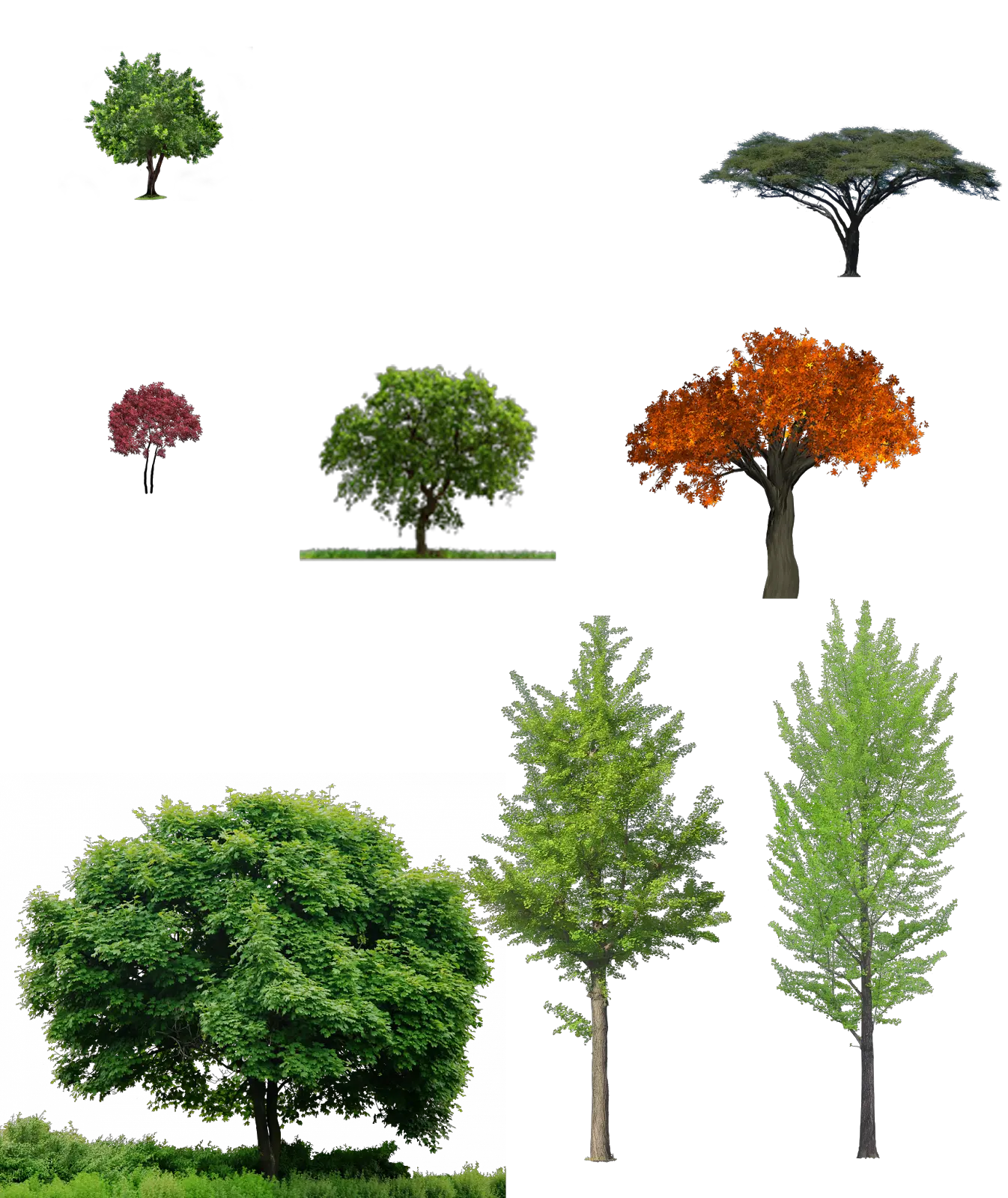 Download Trees Tree And Grass Png Trees Png