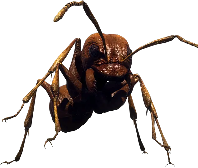 Earth Defense Force Iron Rain Earth Defense Force Ants Png Ant Png